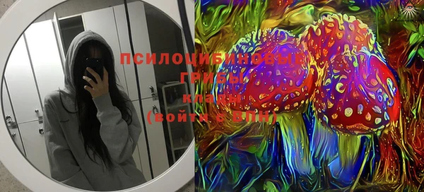 твердый Вяземский