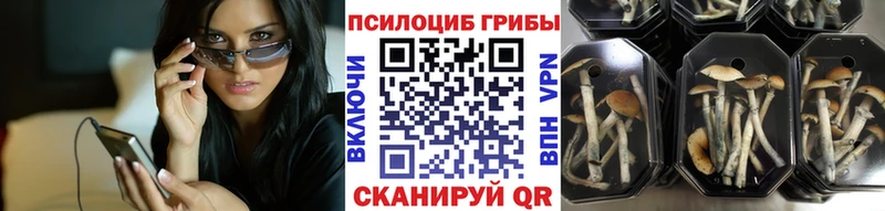 Псилоцибиновые грибы мухоморы Игра