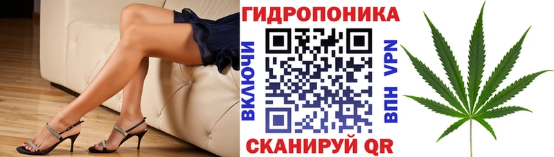 blacksprut онион  Игра  Марихуана OG Kush  хочу наркоту 